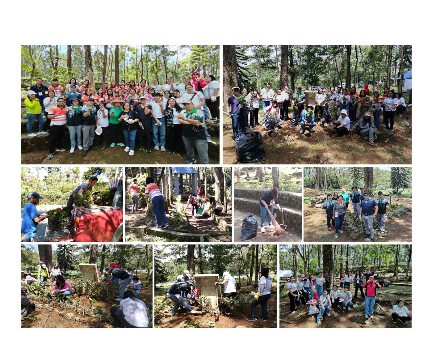RAB Volunteers and Partners Unite to Beautify Park Drive Garden