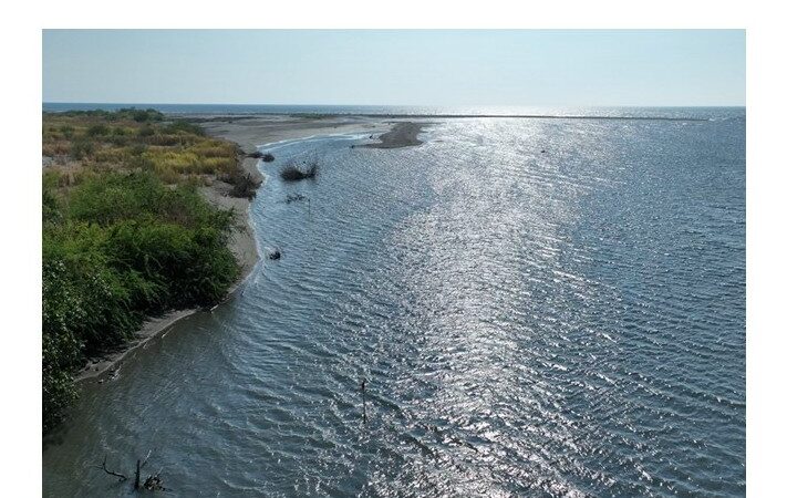 UP Study Maps Riverbank Plants in Occidental Mindoro