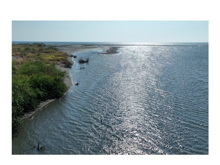 UP Study Maps Riverbank Plants in Occidental Mindoro